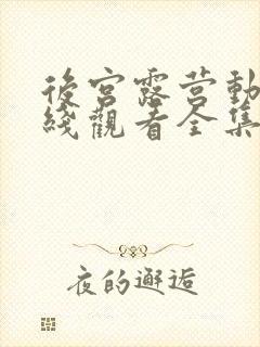 后宫露营动漫在线观看全集免费播放