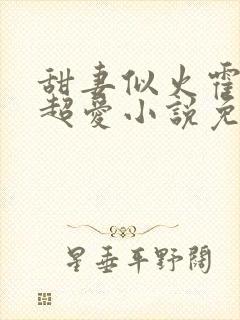 甜妻似火霍爷他超爱小说免费阅读