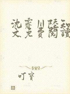 沈霁川陆知意全文免费阅读封面