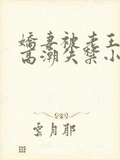 娇妻被老王脔到高潮失禁小说