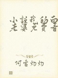 小说我的白富美老婆免费看