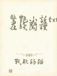 惊艳小说txt在线阅读