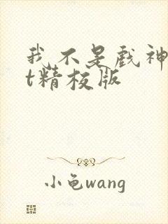 我不是戏神txt精校版