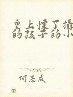 皇上怀了摄政王的孩子的小说封面