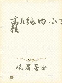 高h纯肉小说调教