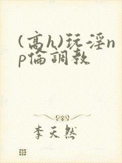 (高h)玩淫np伦调教封面