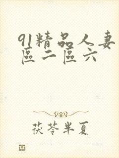 91精品人妻一区二区六