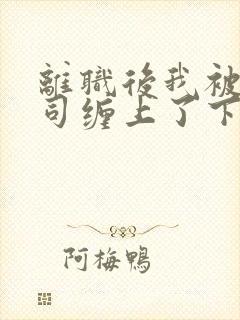 离职后我被前上司缠上了下载txt封面