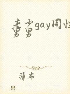 老少gay同性男男封面