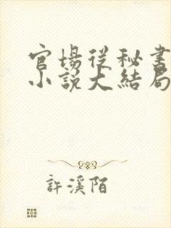 官场从秘书开始小说大结局封面