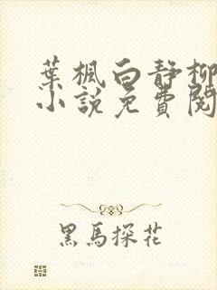 叶枫白静柳如烟小说免费阅读