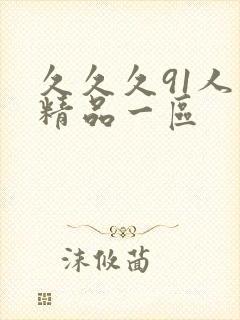 久久久91人妻精品一区