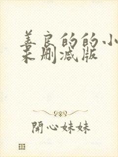 善良的的小[子未删减版