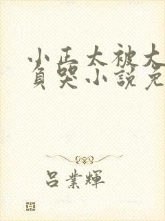 小正太被大叔欺负哭小说免费阅读封面