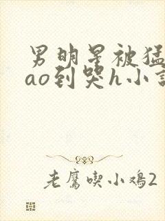 男明星被猛男cao到哭h小说