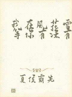 我在风花雪月里等你有没有续集