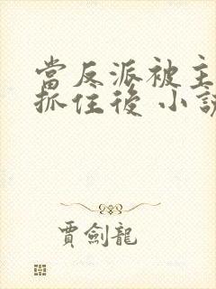 当反派被主角们抓住后 小说