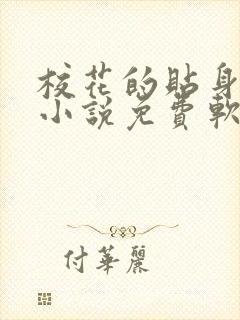 校花的贴身高手小说免费软件