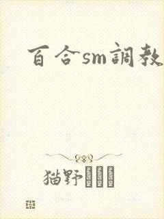 百合sm调教文封面