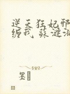 逆天狂妃邪王别缠我 苏涟漪