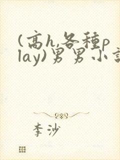 (高h,各种play)男男小说