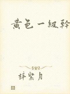 黄色一级干逼片