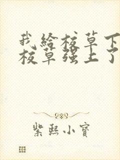 我给校草下药把校草强上了在线阅读封面