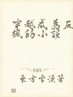 穿越成为反派叶枫的小说封面