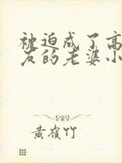 被迫成了高冷室友的老婆小说阅读免费封面