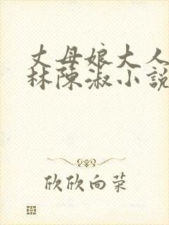 丈母娘大人王文林陈淑小说在线阅读