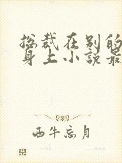 总裁在别的女人身上小说最新章节更