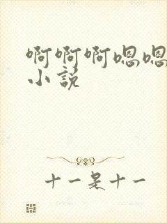 啊啊啊嗯嗯嗯h小说