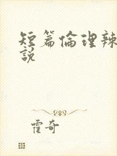 短篇伦理辣文小说封面