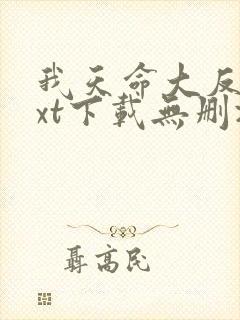我天命大反派txt下载无删减