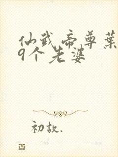 仙武帝尊叶辰19个老婆