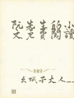 阮先生的小说全文免费阅读无弹窗