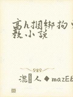 高h捆绑拘束调教小说