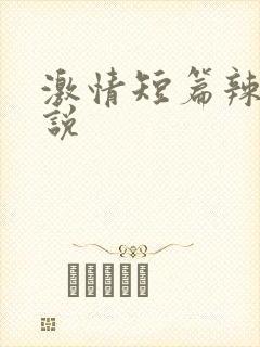激情短篇辣文小说