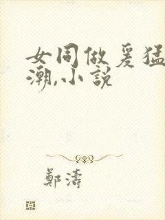 女同做爰猛烈高潮,小说封面