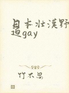 日本壮汉野外强迫gay
