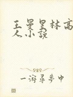 王曼昱林高远同人小说