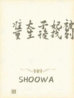 准太子妃被下药重生后找到皇上
