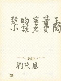 楚昀宁萧王穿越小说免费阅读无弹窗