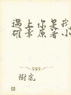 遇上你是我的小确幸原著小说封面