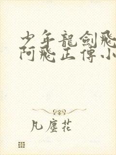 少年龙剑飞小说阿飞正传小说在线阅读