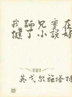 我师兄实在太稳健了小说好看吗