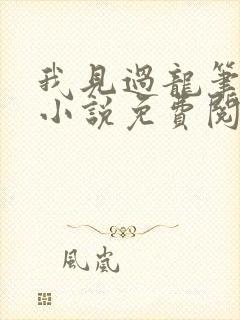 我见过龙笔趣阁小说免费阅读