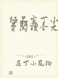 极品家丁小说免费阅读全文无删减