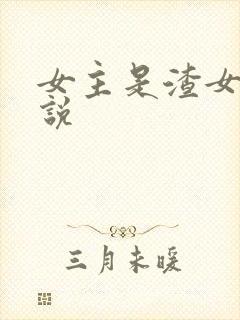 女主是渣女的小说