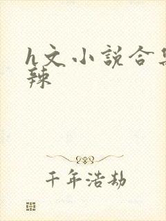 h文小说合集高辣